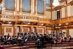 VIENNA Strings Orchestra im Goldenen Saal